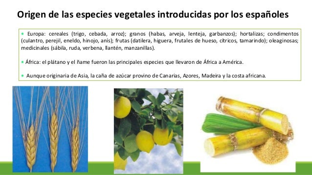 Choque cultural en la conquista de América