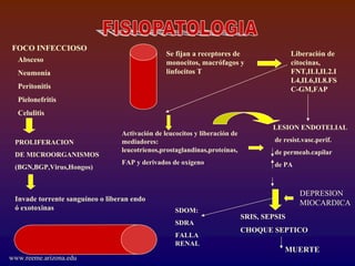 FOCO INFECCIOSO
                                                Se fijan a receptores de                   Liberación de
  Absceso                                       monocitos, macrófagos y                    citocinas,
  Neumonía                                      linfocitos T                               FNT,ILI,IL2.I
                                                                                           L4,IL6,IL8.FS
  Peritonitis                                                                              C-GM,FAP
  Pielonefritis
  Celulitis
                                                                                    LESION ENDOTELIAL
                                 Activación de leucocitos y liberación de
 PROLIFERACION                   mediadores:                                         de resist.vasc.perif.
                                 leucotrienos,prostaglandinas,proteínas,             de permeab.capilar
 DE MICROORGANISMOS
                                 FAP y derivados de oxígeno                          de PA
 (BGN,BGP,Virus,Hongos)


                                                                                              DEPRESION
 Invade torrente sanguíneo o liberan endo
                                                                                              MIOCARDICA
 ó exotoxinas                                      SDOM:
                                                                            SRIS, SEPSIS
                                                   SDRA
                                                                            CHOQUE SEPTICO
                                                   FALLA
                                                   RENAL
                                                                                        MUERTE
www.reeme.arizona.edu
 