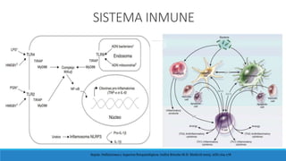Sepsis: Definiciones y Aspectos fisiopatológicos. Indira Briceño M.D. Medicrit 2005; 2(8):164-178
SISTEMA INMUNE
 