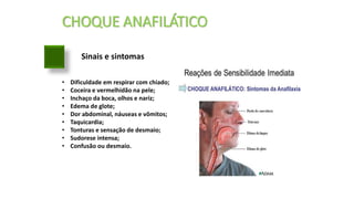 CHOQUE ANAFILÁTICO
Sinais e sintomas
• Dificuldade em respirar com chiado;
• Coceira e vermelhidão na pele;
• Inchaço da boca, olhos e nariz;
• Edema de glote;
• Dor abdominal, náuseas e vômitos;
• Taquicardia;
• Tonturas e sensação de desmaio;
• Sudorese intensa;
• Confusão ou desmaio.
 
