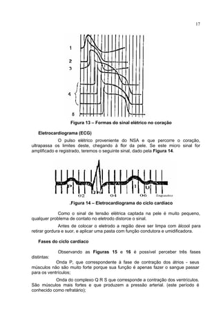 17
Figura 13 – Formas do sinal elétrico no coração
Eletrocardiograma (ECG)
O pulso elétrico proveniente do NSA e que percorre o coração,
ultrapassa os limites deste, chegando à flor da pele. Se este micro sinal for
amplificado e registrado, teremos o seguinte sinal, dado pela Figura 14.
.Figura 14 – Eletrocardiograma do ciclo cardíaco
Como o sinal de tensão elétrica captada na pele é muito pequeno,
qualquer problema de contato no eletrodo distorce o sinal.
Antes de colocar o eletrodo a região deve ser limpa com álcool para
retirar gordura e suor, e aplicar uma pasta com função condutora e umidificadora.
Fases do ciclo cardíaco
Observando as Figuras 15 e 16 é possível perceber três fases
distintas:
Onda P, que correspondente à fase de contração dos átrios - seus
músculos não são muito forte porque sua função é apenas fazer o sangue passar
para os ventrículos;
Onda do complexo Q R S que corresponde a contração dos ventrículos.
São músculos mais fortes e que produzem a pressão arterial. (este período é
conhecido como refratário);
 