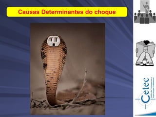 Causas Determinantes do choque
 