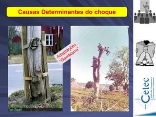 Causas Determinantes do choque
 