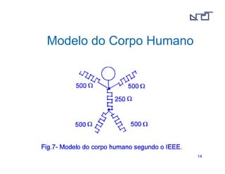 1144 
Modelo do Corpo Humano 
 
