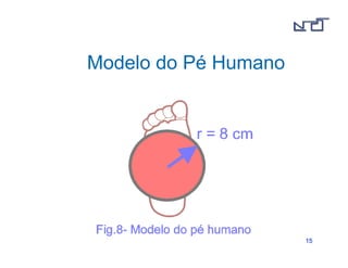 1155 
Modelo do Pé Humano 
 