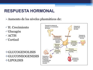 RESPUESTA HORMONAL
Aumento de los niveles plasmáticos de:

H. Crecimiento
Glucagón
ACTH
Cortisol


GLUCOGENOLISIS
GLUCONEOGENESIS
LIPOLISIS
 