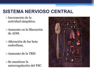 SISTEMA NERVIOSO CENTRAL
Incremento de la
 actividad simpática.

Aumento en la liberación
 de ADH.

Alteración de las beta
 endorfinas.

Aumento de la TRH

Se mantiene la
 autorregulación del FSC
 