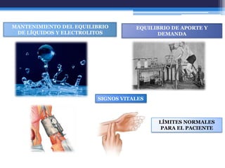 MANTENIMIENTO DEL EQUILIBRIO       EQUILIBRIO DE APORTE Y
 DE LÍQUIDOS Y ELECTROLITOS              DEMANDA




                        SIGNOS VITALES



                                         LÍMITES NORMALES
                                          PARA EL PACIENTE
 