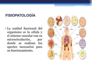 FISIOPATOLOGÍA


La unidad funcional del
 organismo es la célula y
 el sistema vascular con su
 microcirculación,      por
 donde se realizan los
 aportes necesarios para
 su funcionamiento.
 
