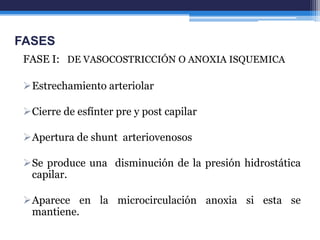 FASES
 FASE I: DE VASOCOSTRICCIÓN O ANOXIA ISQUEMICA

 Estrechamiento arteriolar

 Cierre de esfínter pre y post capilar

 Apertura de shunt arteriovenosos

 Se produce una disminución de la presión hidrostática
  capilar.

 Aparece en la microcirculación anoxia si esta se
  mantiene.
 
