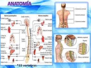 Tratamiento: multidisciplinario, altos costos.