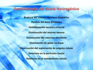 SOMÁTICOSVISCERALES31 pares de nervios raquídeos*Parasimpatico  *simpático  *Parasimpático
