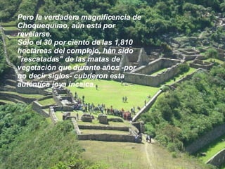 Pero la verdadera magnificencia de Choquequirao, aún está por revelarse. Sólo el 30 por ciento de las 1,810 hectáreas del complejo, han sido "rescatadas" de las matas de vegetación que durante años -por no decir siglos- cubrieron esta auténtica joya incaica. 