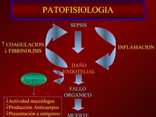 PATOFISIOLOGIA SEPSIS    COAGULACION    FIBRINOLISIS INFLAMACION DAÑO ENDOTELIAL FALLO ORGANICO MUERTE Apoptosis Actividad macrófagos Producción Anticuerpos Presentación a antígenos 