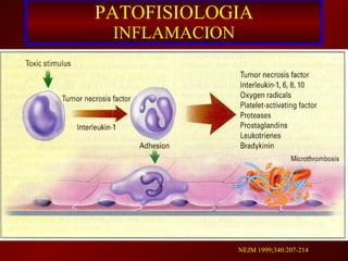PATOFISIOLOGIA INFLAMACION NEJM 1999;340:207-214 