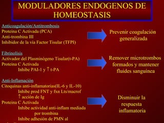MODULADORES ENDOGENOS DE HOMEOSTASIS Anticoagulación/Antitrombosis Proteina C Activada (PCA) Anti-trombina III Inhibidor de la vía Factor Tisular (TFPI) Fibrinolísis Activador del Plasminógeno Tisular(t-PA) Proteina C Activada Inhibe PAI-1 y    t-PA Anti-Inflamación Citoquinas anti-inflamatorias(IL-6 y IL-10) Inhibe prod FNT y fxn Lts/macrof    acción de Ig Proteina C Activada Inhibe actividad anti-inflam mediada por trombina Inhibe adhesión de PMN al endotelio Prevenir coagulación  generalizada Remover microtrombos  formados y mantener fluides sanguínea Disminuir la  respuesta  inflamatoria 