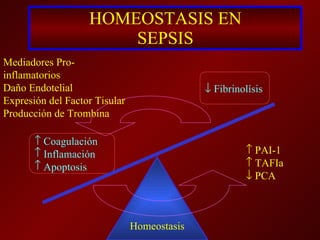 HOMEOSTASIS EN SEPSIS Mediadores Pro-inflamatorios Daño Endotelial Expresión del Factor Tisular Producción de Trombina    Coagulación Inflamación Apoptosis    Fibrinolísis    PAI-1    TAFIa    PCA Homeostasis 