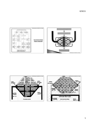 8/30/11	
  

PATOFISIOLOGIA DA RESPOSTA AO CHOQUE

Espaço intravascular

Espaço intravascular

Espaço intracelular

Espaço intersticial

PATOFISIOLOGIA DA RESPOSTA AO CHOQUE

PATOFISIOLOGIA DA RESPOSTA AO CHOQUE

PATOFISIOLOGIA DA RESPOSTA AO CHOQUE

5	
  

 