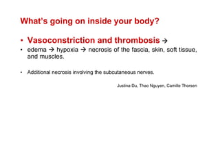 What’s going on inside your body?

• Vasoconstriction and thrombosis
• edema    hypoxia          necrosis of the fascia, skin, soft tissue,
  and muscles.

• Additional necrosis involving the subcutaneous nerves.

                                        Justina Du, Thao Nguyen, Camille Thorsen
 
