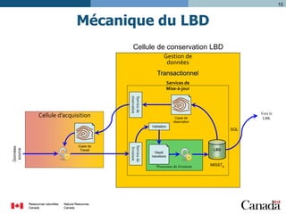 10

Mécanique du LBD
Cellule de conservation LBD
Gestion de
données
Transactionnel
Services de
Mise-à-jour
Service de
réservation

Cellule d’acquisition

Vers le
LBK

Copie de
réservation

Copie de
Travail

Service de
livraison

Données
source

Validation

Dépôt
transitoire

Processus de livraison
Processus de publication

SQL

LBD

MISSTg

 