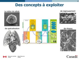 9

Des concepts à exploiter
La notion de cellule

de regroupement

de spécialisation

de réseau

 