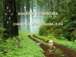 zoologi vertebrata
         OLEH :

CHANDRA WIDHIKRAMA, S.Pd
 