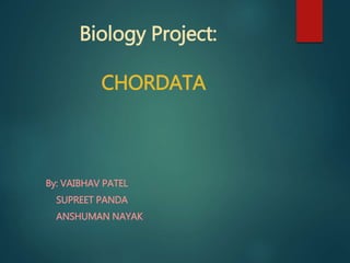 Biology Project:
CHORDATA
By: VAIBHAV PATEL
SUPREET PANDA
ANSHUMAN NAYAK
 