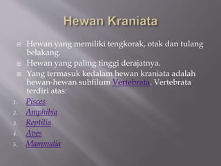  Hewan yang memiliki tengkorak, otak dan tulang
belakang.
 Hewan yang paling tinggi derajatnya.
 Yang termasuk kedalam hewan kraniata adalah
hewan-hewan subfilum Vertebrata. Vertebrata
terdiri atas:
1. Pisces
2. Amphibia
3. Reptilia
4. Aves
5. Mammalia
 