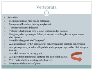 Vertebrata
 Ciri – ciri :
1. Mempunyai ruas-ruas tulang belakang.
2. Mempunyai kranium (tulang tengkorak).
3. Tubuhnya simetris bilateral.
4. Tubuhnya terlindung oleh lapisan epidermis dan dermis.
5. Rangkanya berupa rangka dalam,terususn atas tulang keras, spon, rawan,
dan ligamen.
6. Memiliki alat gerak aktif dan pasif.
7. Alat pencernaan terdiri atas saluran pencernaan dan kelenjar pencernaan
8. Alat pernapasannya yaitu hidup didarat dengan paru-paru dan diair dengan
insang.
9. Alat ekskresinya sepasang ginjal.
10. Alat peredaran teridir atas jantung dan pembuluh darah.
11. Vertebrata aberkelamin terpisah(dioseus).
12. Mempunyai sistem saraf pusat.
 