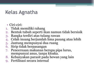 Kelas Agnatha
• Ciri-ciri:
1. Tidak memiliki rahang
2. Bentuk tubuh seperti ikan namun tidak bersisik
3. Rangka terdiri atas tulang rawan
4. Celah insang berjumlah lima pasang atau lebih
5. Jantung mempunyai dua ruang
6. Sirip tidak berpasangan
7. Pencernaan makanan berupa pipa lurus,
mempunyai anus, tanpa kloaka.
8. Kebanyakan parasit pada hewan yang lain
9. Fertilisasi secara internal
 