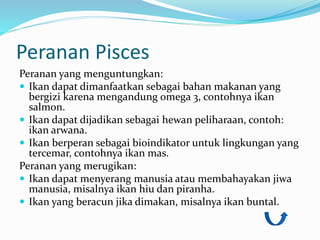 Peranan Pisces
Peranan yang menguntungkan:
 Ikan dapat dimanfaatkan sebagai bahan makanan yang
bergizi karena mengandung omega 3, contohnya ikan
salmon.
 Ikan dapat dijadikan sebagai hewan peliharaan, contoh:
ikan arwana.
 Ikan berperan sebagai bioindikator untuk lingkungan yang
tercemar, contohnya ikan mas.
Peranan yang merugikan:
 Ikan dapat menyerang manusia atau membahayakan jiwa
manusia, misalnya ikan hiu dan piranha.
 Ikan yang beracun jika dimakan, misalnya ikan buntal.
 