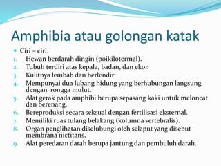 Amphibia atau golongan katak
 Ciri – ciri:
1. Hewan berdarah dingin (poikilotermal).
2. Tubuh terdiri atas kepala, badan, dan ekor.
3. Kulitnya lembab dan berlendir
4. Mempunyai dua lubang hidung yang berhubungan langsung
dengan rongga mulut.
5. Alat gerak pada amphibi berupa sepasang kaki untuk meloncat
dan berenang.
6. Bereproduksi secara seksual dengan fertilisasi eksternal.
7. Memiliki ruas tulang belakang (kolumna vertebralis).
8. Organ penglihatan diselubungi oleh selaput yang disebut
membrana nictitans.
9. Alat peredaran darah berupa jantung dan pembuluh darah.
 