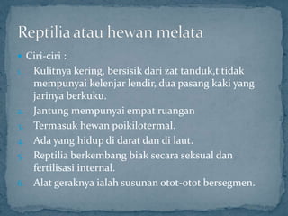  Ciri-ciri :
1. Kulitnya kering, bersisik dari zat tanduk,t tidak
mempunyai kelenjar lendir, dua pasang kaki yang
jarinya berkuku.
2. Jantung mempunyai empat ruangan
3. Termasuk hewan poikilotermal.
4. Ada yang hidup di darat dan di laut.
5. Reptilia berkembang biak secara seksual dan
fertilisasi internal.
6. Alat geraknya ialah susunan otot-otot bersegmen.
 