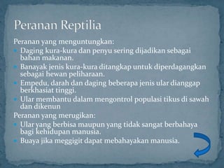 Peranan yang menguntungkan:
 Daging kura-kura dan penyu sering dijadikan sebagai
bahan makanan.
 Banayak jenis kura-kura ditangkap untuk diperdagangkan
sebagai hewan peliharaan.
 Empedu, darah dan daging beberapa jenis ular dianggap
berkhasiat tinggi.
 Ular membantu dalam mengontrol populasi tikus di sawah
dan dikenun
Peranan yang merugikan:
 Ular yang berbisa maupun yang tidak sangat berbahaya
bagi kehidupan manusia.
 Buaya jika meggigit dapat mebahayakan manusia.
 