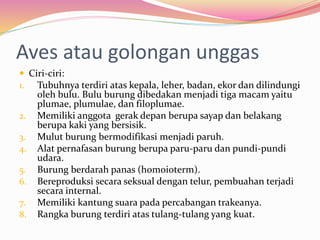 Aves atau golongan unggas
 Ciri-ciri:
1. Tubuhnya terdiri atas kepala, leher, badan, ekor dan dilindungi
oleh bulu. Bulu burung dibedakan menjadi tiga macam yaitu
plumae, plumulae, dan filoplumae.
2. Memiliki anggota gerak depan berupa sayap dan belakang
berupa kaki yang bersisik.
3. Mulut burung bermodifikasi menjadi paruh.
4. Alat pernafasan burung berupa paru-paru dan pundi-pundi
udara.
5. Burung berdarah panas (homoioterm).
6. Bereproduksi secara seksual dengan telur, pembuahan terjadi
secara internal.
7. Memiliki kantung suara pada percabangan trakeanya.
8. Rangka burung terdiri atas tulang-tulang yang kuat.
 