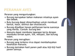 Peranan yang menguntungkan:
 Burung merupakan bahan makanan misalnya ayam
dan bebek.
 Bulu burung dapat dimanfaatkan untuk membuat
bantal, kasur, selimut dan shuttlecock.
 Burung dijadikan hewan peliharaan karna suaranya
yang merdu. Contoh: burung beo
 Manusia dapat membuka lapangan kerja dengan
membuka ternak ayam, itik, merpati, dan burung
walet.
Peranan yang merugikan:
 Burung yang terkena virus dapat membahayakan
kesehatan manusia.
 Burung memakan hasil panen padi atau biji-biji hasil
panen lainnya.
 
