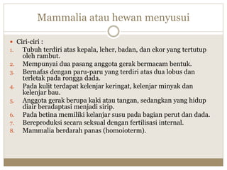 Mammalia atau hewan menyusui
 Ciri-ciri :
1. Tubuh terdiri atas kepala, leher, badan, dan ekor yang tertutup
oleh rambut.
2. Mempunyai dua pasang anggota gerak bermacam bentuk.
3. Bernafas dengan paru-paru yang terdiri atas dua lobus dan
terletak pada rongga dada.
4. Pada kulit terdapat kelenjar keringat, kelenjar minyak dan
kelenjar bau.
5. Anggota gerak berupa kaki atau tangan, sedangkan yang hidup
diair beradaptasi menjadi sirip.
6. Pada betina memiliki kelanjar susu pada bagian perut dan dada.
7. Bereproduksi secara seksual dengan fertilisasi internal.
8. Mammalia berdarah panas (homoioterm).
 