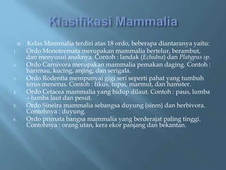  Kelas Mammalia terdiri atas 18 ordo, beberapa diantaranya yaitu:
1. Ordo Monotremata merupakan mammalia bertelur, berambut,
dan menyusui anaknya. Contoh : landak (Echidna) dan Platypus sp.
2. Ordo Carnivora merupakan mammalia pemakan daging. Contoh :
harimau, kucing, anjing, dan serigala.
3. Ordo Rodentia mempunyai gigi seri seperti pahat yang tumbuh
terus menerus. Contoh : tikus, tupai, marmut, dan hamster.
4. Ordo Cetacea mammalia yang hidup dilaut. Contoh : paus, lumba
– lumba laut dan pesut.
5. Ordo Sineira mammalia sebangsa duyung (siren) dan herbivora.
Contohnya : duyung.
6. Ordo primata bangsa mammalia yang berderajat paling tinggi.
Contohnya : orang utan, kera ekor panjang dan bekantan.
 