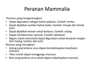Peranan Mammalia
Peranan yang menguntungkan:
• Dapat digunakan sebagai bahan pakaian. Contoh: lembu
• Dapat dijadikan sumber bahan bakar. Contoh: minyak dari lemak
paus.
• Dapat dijadikan hewan untuk berburu. Contoh: anjing.
• Dapat memberantas nyamuk. Contoh: kelelawar
• Bagian tubuh mammalia dapat digunakan untuk kerajinan tangan.
Dari tulang, tanduk, dan kulit.
Peranan yang merugikan:
• Anjing yang terkena virus dapat membahayakan kesehatan
manusia.
• Tikus rumah dapat menggangu manusia.
• Kera yang terkena virus ebola dapat mebahayakan manusia.
 