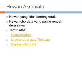 Hewan Akraniata
 Hewan yang tidak bertengkorak.
 Hewan chordata yang paling rendah
derajatnya.
 Terdiri atas:
1. Hemichordata
2. Urochordata atau Tunicata
3. Cephalochordata
 