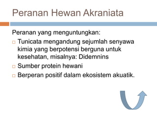 Peranan Hewan Akraniata
Peranan yang menguntungkan:
 Tunicata mengandung sejumlah senyawa
kimia yang berpotensi berguna untuk
kesehatan, misalnya: Didemnins
 Sumber protein hewani
 Berperan positif dalam ekosistem akuatik.
 