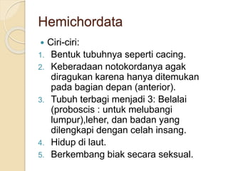 Hemichordata
 Ciri-ciri:
1. Bentuk tubuhnya seperti cacing.
2. Keberadaan notokordanya agak
diragukan karena hanya ditemukan
pada bagian depan (anterior).
3. Tubuh terbagi menjadi 3: Belalai
(proboscis : untuk melubangi
lumpur),leher, dan badan yang
dilengkapi dengan celah insang.
4. Hidup di laut.
5. Berkembang biak secara seksual.
 