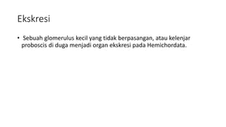 Ekskresi
• Sebuah glomerulus kecil yang tidak berpasangan, atau kelenjar
proboscis di duga menjadi organ ekskresi pada Hemichordata.
 