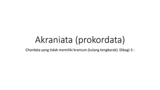 Akraniata (prokordata)
Chordata yang tidak memiliki kranium (tulang tengkorak). Dibagi 3 :
 