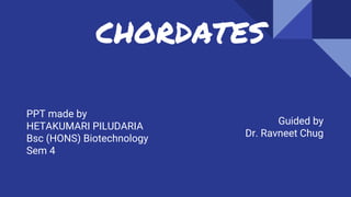 CHORDATES
PPT made by
HETAKUMARI PILUDARIA
Bsc (HONS) Biotechnology
Sem 4
Guided by
Dr. Ravneet Chug
 