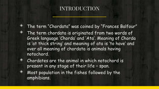 INTRODUCTION
◈ The term “Chordata” was coined by “Frances Balfour”
◈ The term chordata is originated from two words of
Greek language ‘Chorda’ and ‘Ata’. Meaning of Chorda
is ‘at thick string’ and meaning of ata is ‘to have’ and
over all meaning of chordata is animals having
notochord.
◈ Chordates are the animal in which notochord is
present in any stage of their life – span.
◈ Most population in the fishes followed by the
amphibians.
 