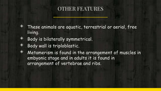 OTHER FEATURES
◈ These animals are aquatic, terrestrial or aerial, free
living.
◈ Body is bilaterally symmetrical.
◈ Body wall is triploblastic.
◈ Metamerism is found in the arrangement of muscles in
embyonic stage and in adults it is found in
arrangement of vertebrae and ribs.
 