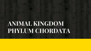 ANIMAL KINGDOM
PHYLUM CHORDATA
 