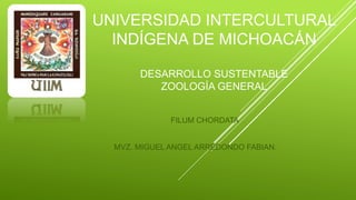 UNIVERSIDAD INTERCULTURAL
INDÍGENA DE MICHOACÁN
DESARROLLO SUSTENTABLE
ZOOLOGÍA GENERAL
FILUM CHORDATA
MVZ. MIGUEL ANGEL ARREDONDO FABIAN.
 