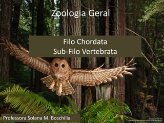 Zoologia Geral
Filo Chordata
Sub-Filo Vertebrata
Professora Solana M. Boschilia
 